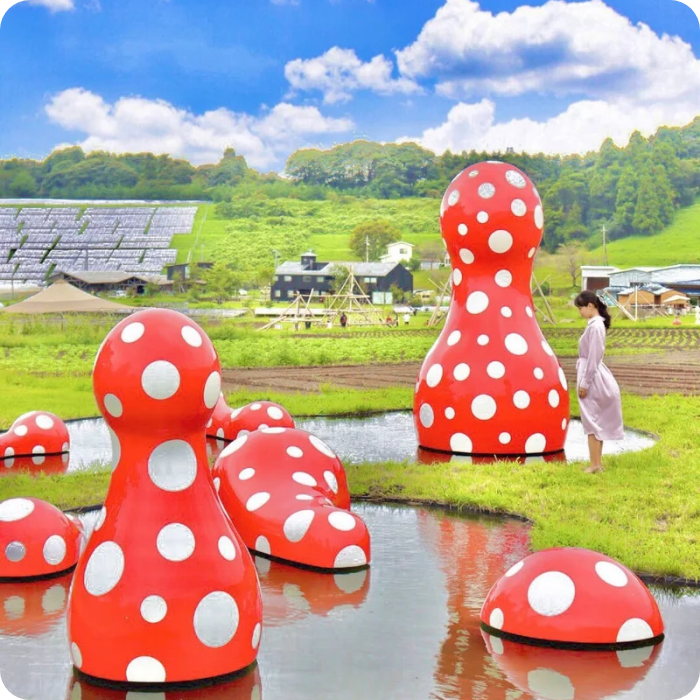 MORE JAPANでできること 画像1