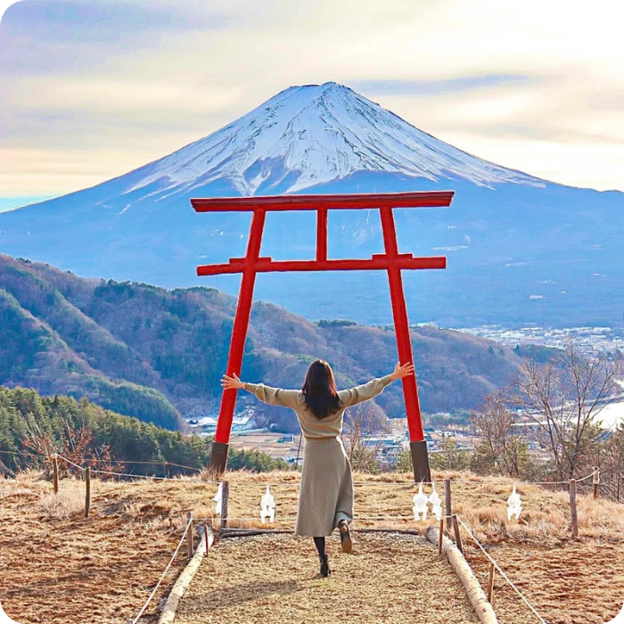 MORE JAPANでできること 画像3